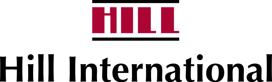 Consultant 1